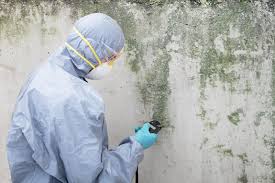 Best Real Estate Mold Inspection  in Pryor Creek, OK